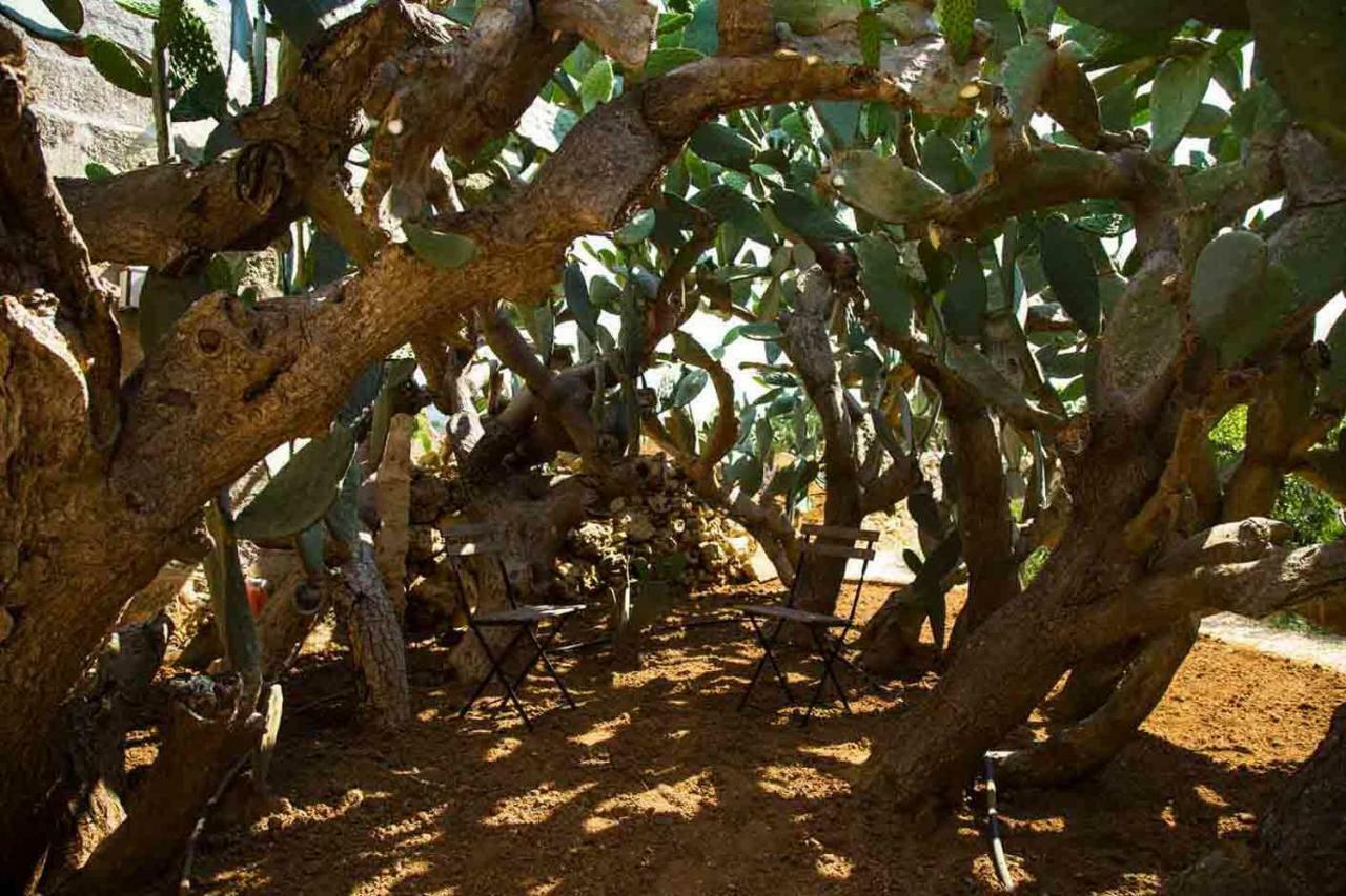 Masseria Celano กร็อตตาเย ภายนอก รูปภาพ