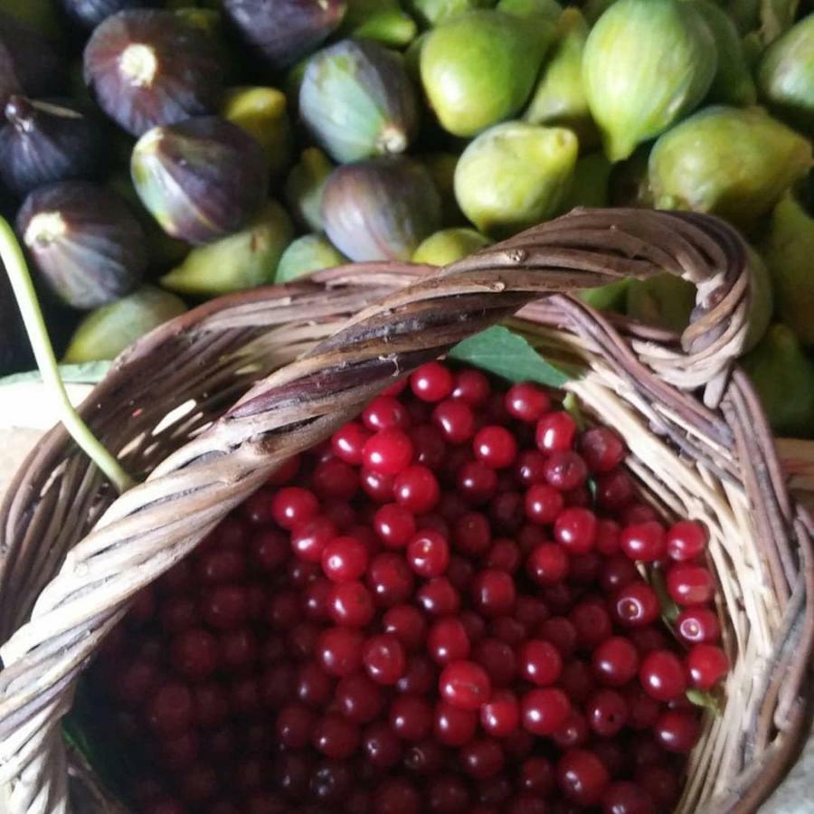 Masseria Celano กร็อตตาเย ภายนอก รูปภาพ