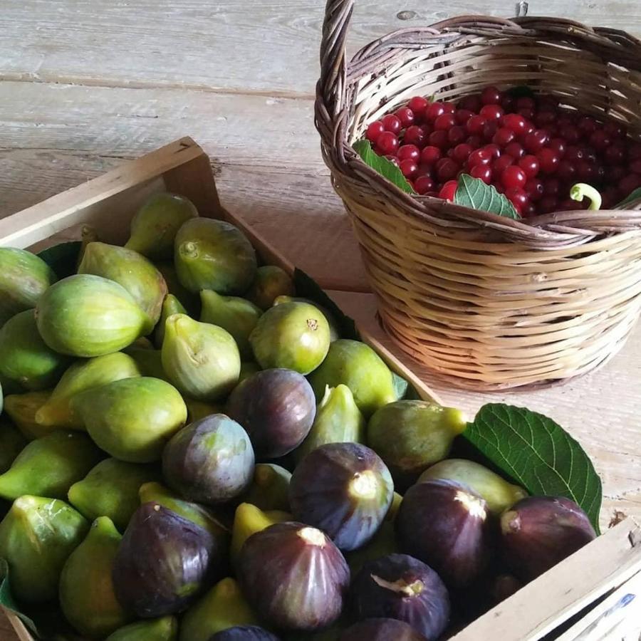 Masseria Celano กร็อตตาเย ภายนอก รูปภาพ